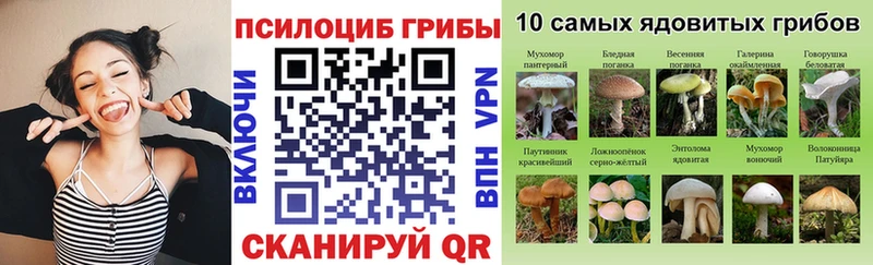 Псилоцибиновые грибы GOLDEN TEACHER  кракен ссылки  Солигалич 